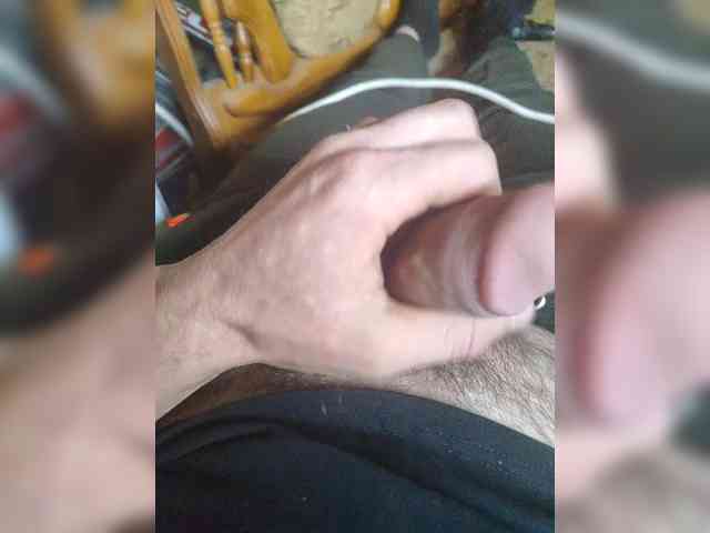 Shpalerr1