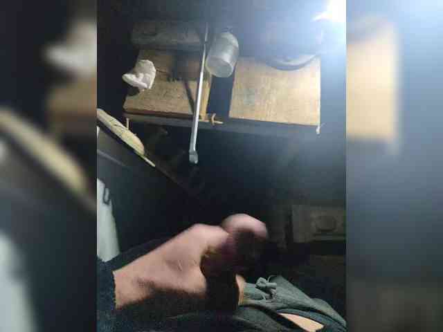 Shpalerr1