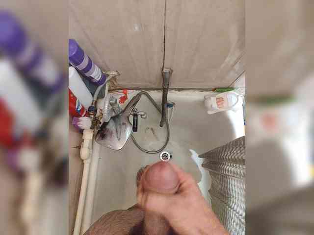 Shpalerr1