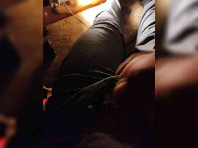 Shpalerr1