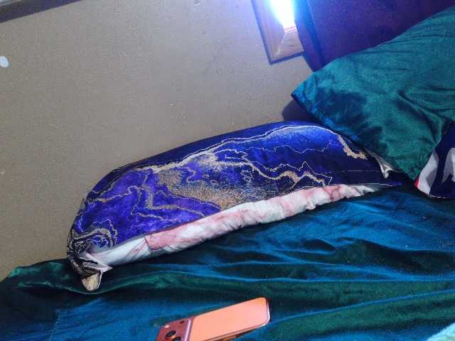 Preview of flavi1996