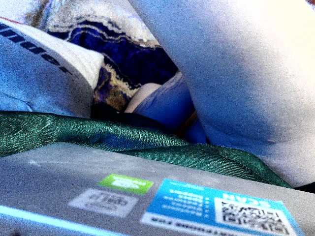 Preview of flavi1996