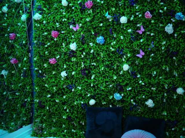 babynyco's BongaCams show and profile