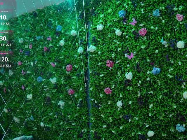 babynyco's BongaCams show and profile