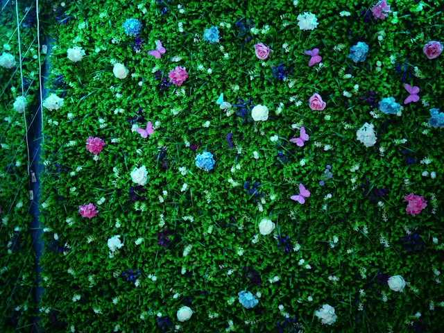 babynyco's BongaCams show and profile