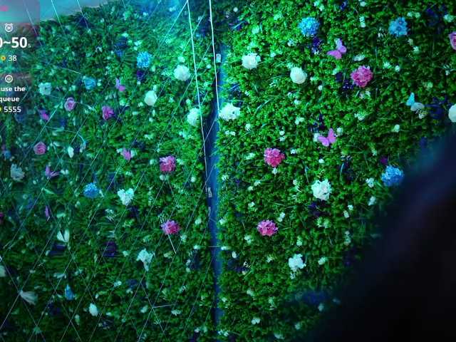 babynyco's BongaCams show and profile