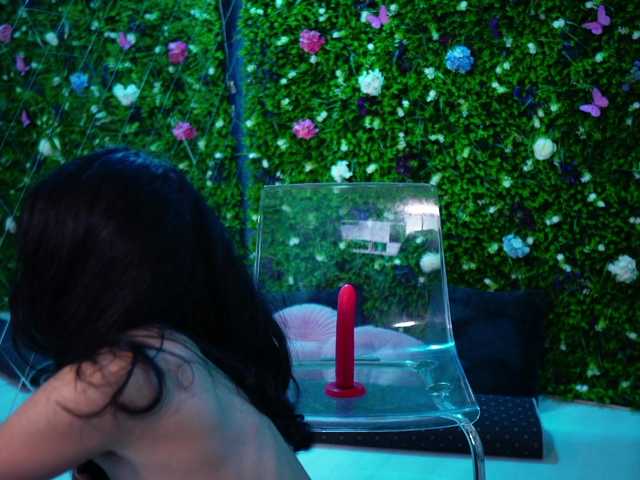 babynyco's BongaCams show and profile