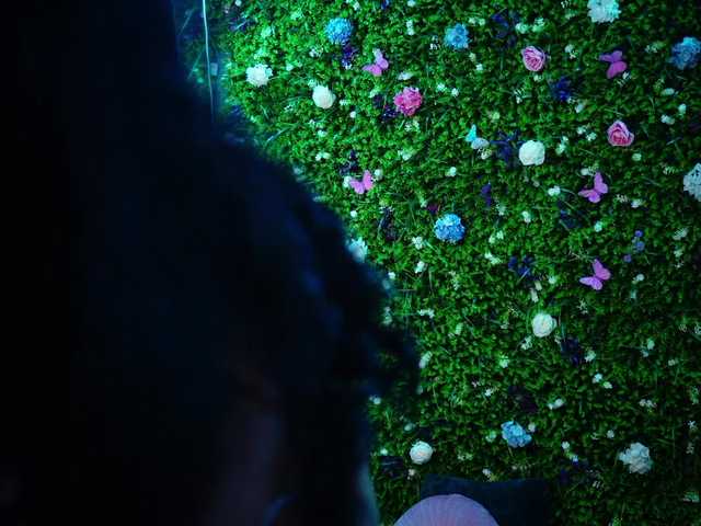 babynyco's BongaCams show and profile