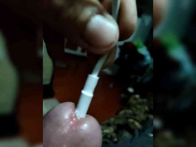 Minimaxpenis