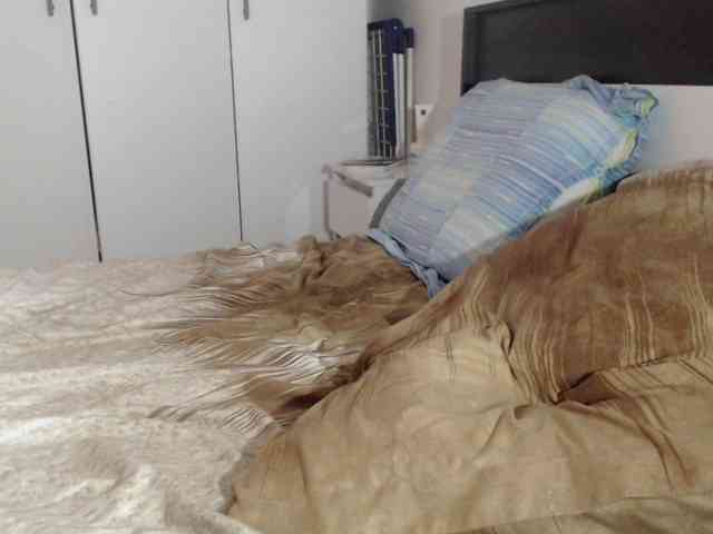 petitedanielle webcam