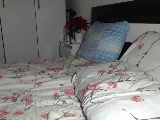 petitedanielle webcam