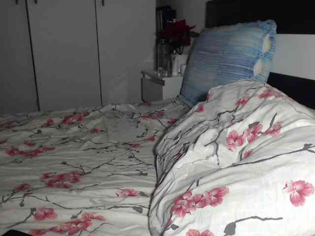 petitedanielle webcam