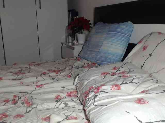 petitedanielle webcam