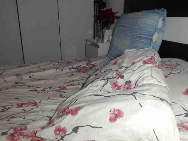 petitedanielle webcam