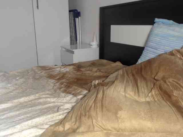 petitedanielle petitedanielle