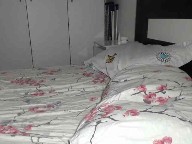 petitedanielle webcam