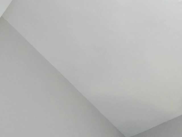 Preview of haileyvice