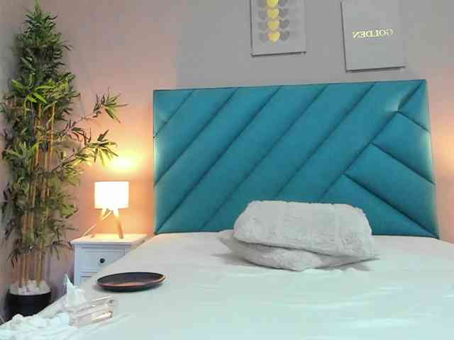 HaileyVice webcam
