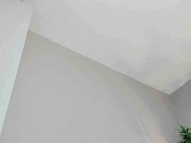 HaileyVice webcam