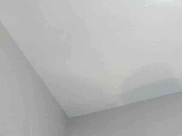 HaileyVice bongacams