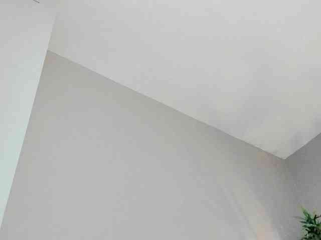 HaileyVice webcam