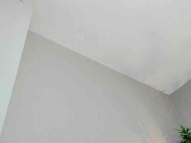 HaileyVice webcam