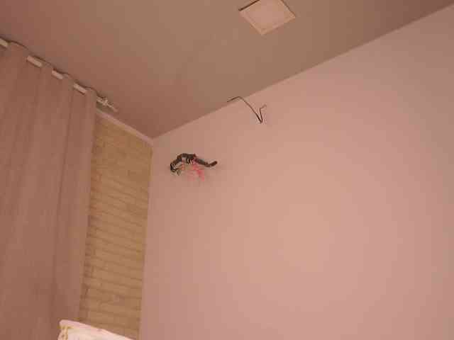 YesImAnna webcam