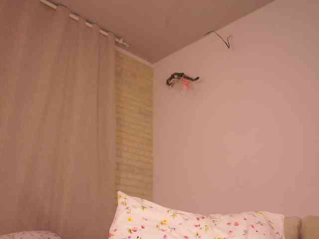 YesImAnna webcam