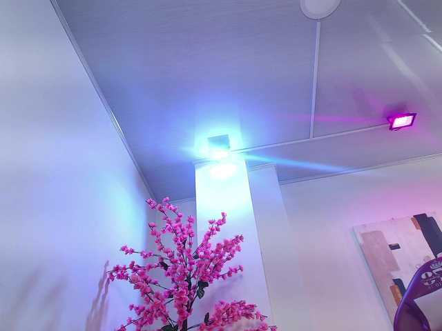 Leia-laurent from BongaCams is Freechat