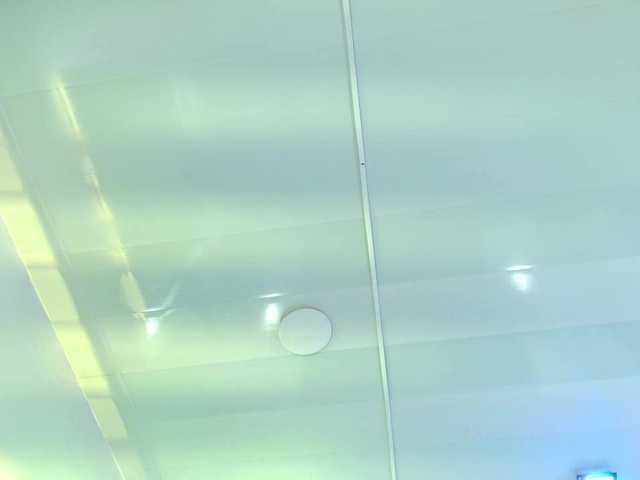 Preview of leia-laurent