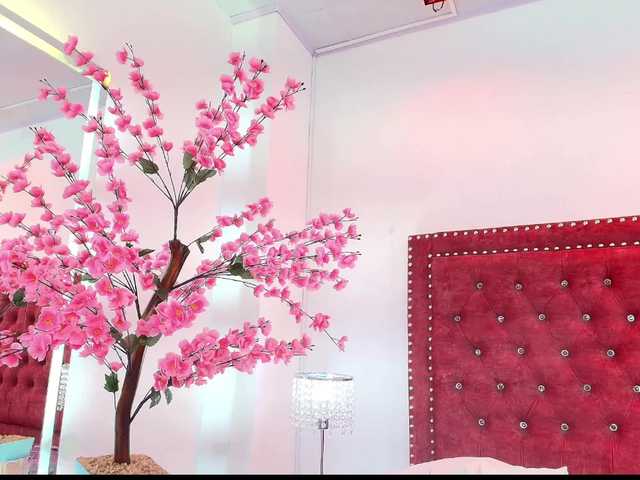 Preview of leia-laurent