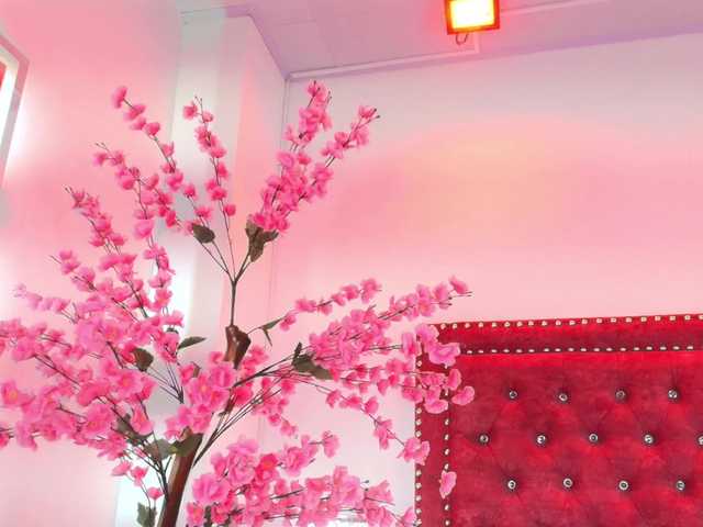 Leia-laurent's BongaCams show and profile