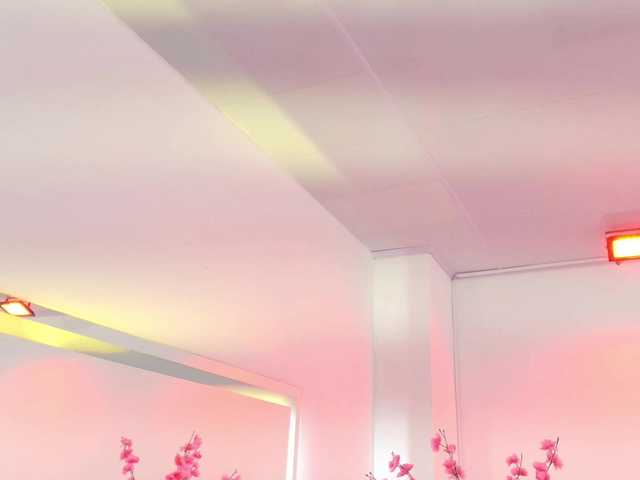 Preview of leia-laurent