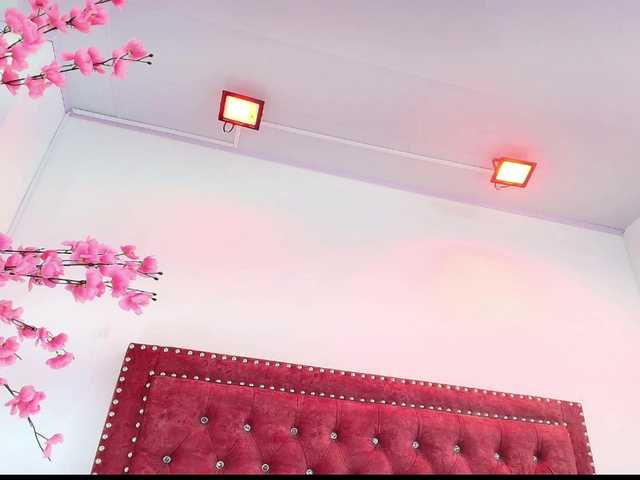 Preview of leia-laurent