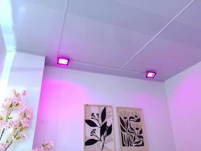 Leia-laurent's BongaCams show and profile