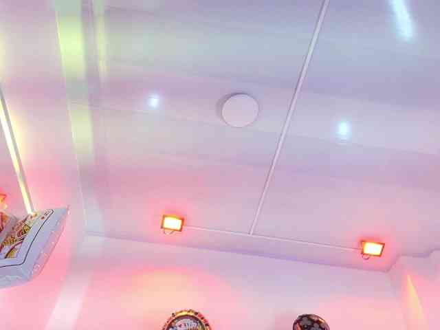 Leia-laurent Leia-laurent