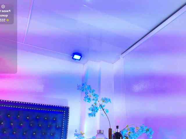 Leia-laurent Leia-laurent