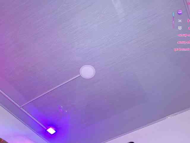 Leia-laurent Leia-laurent