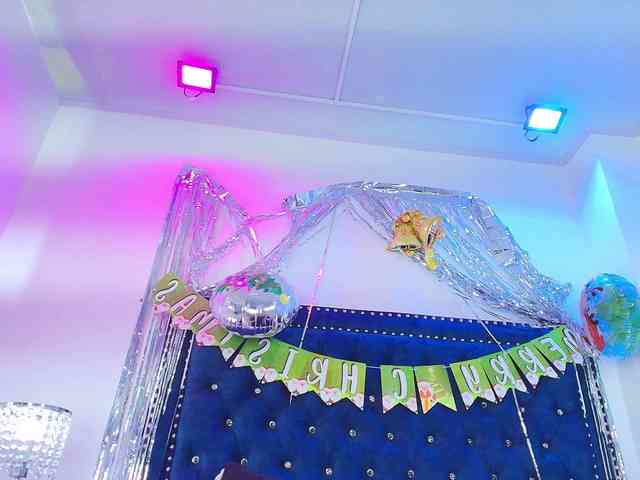 Leia-laurent Leia-laurent