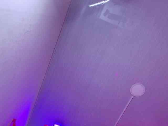 Leia-laurent Leia-laurent