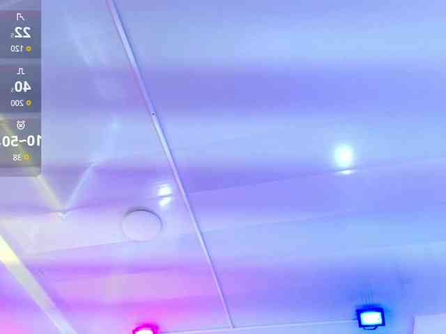 Leia-laurent Leia-laurent