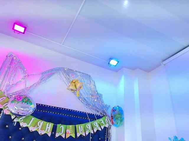 Leia-laurent Leia-laurent