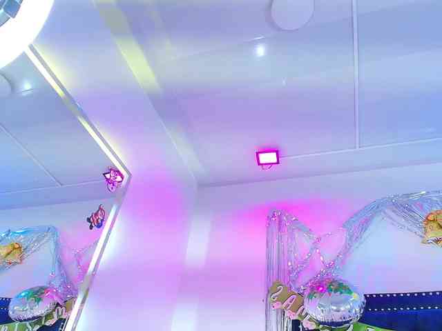 Leia-laurent Leia-laurent