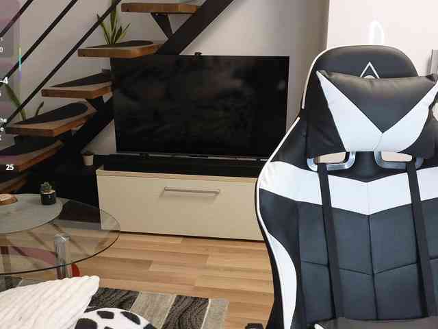 RyanStorm Live Webcam on {site_name}