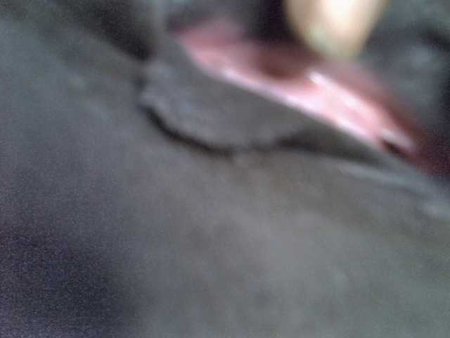 Preview of sasha-molly