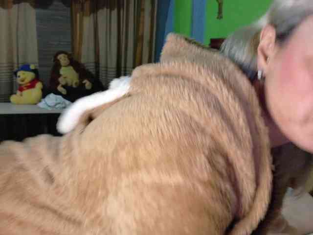 Charlizetheron1 webcam