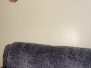 Curvy-maxy9 Porn Show