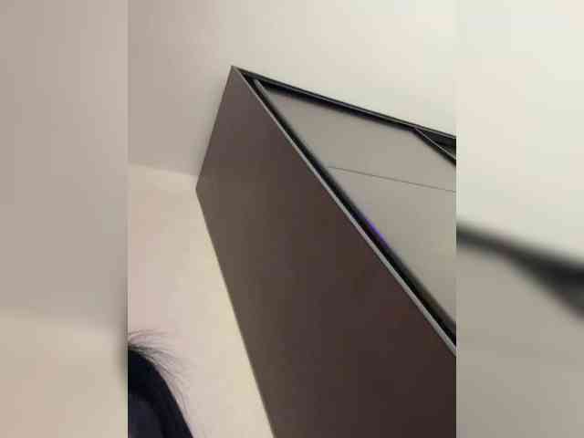 EvaDesire webcam