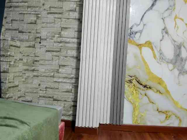 monickhot303av webcam