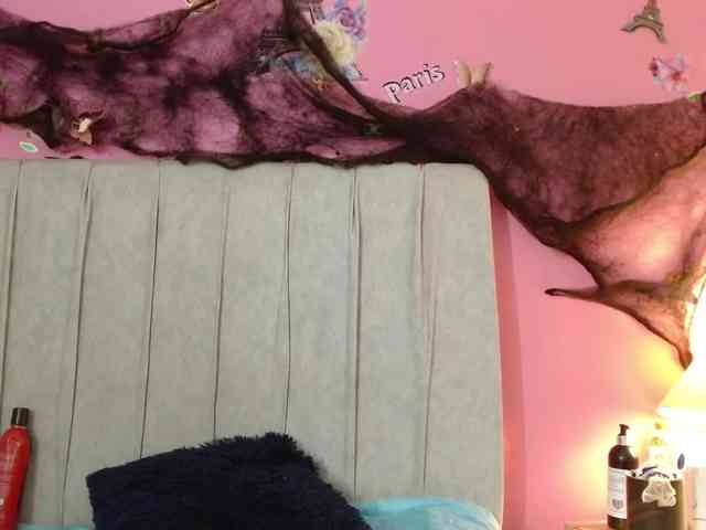 monickhot303av webcam